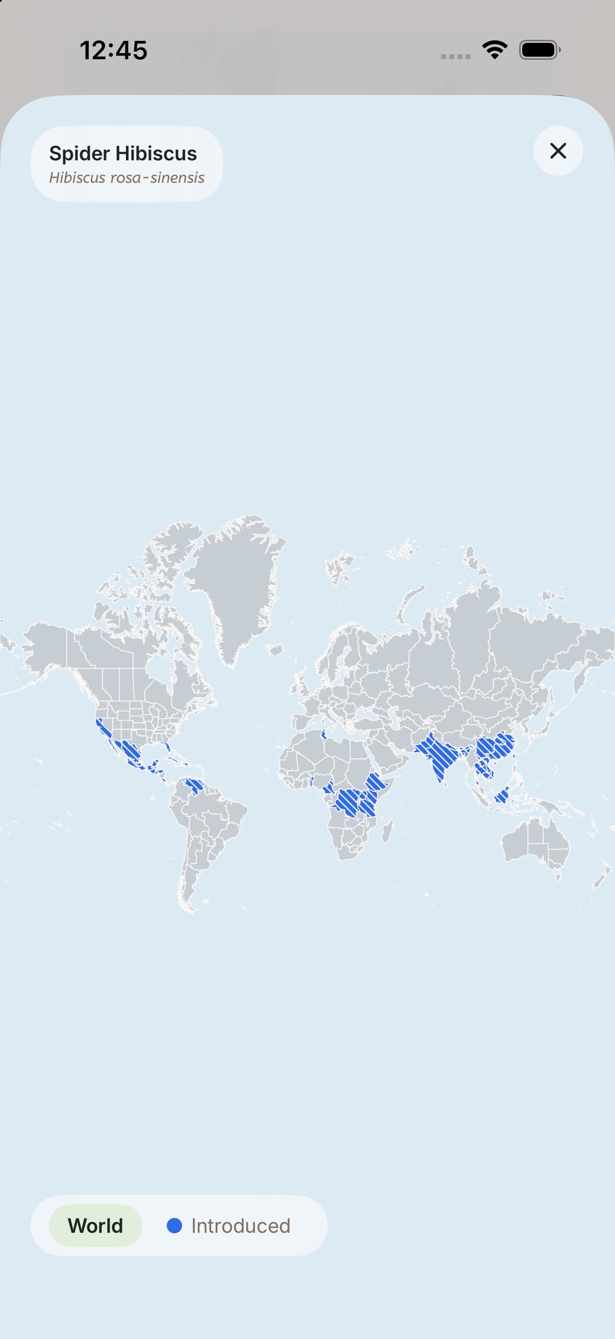The same world distribution map with the filled regions drawn as diagonal hatching instead of solid colour.