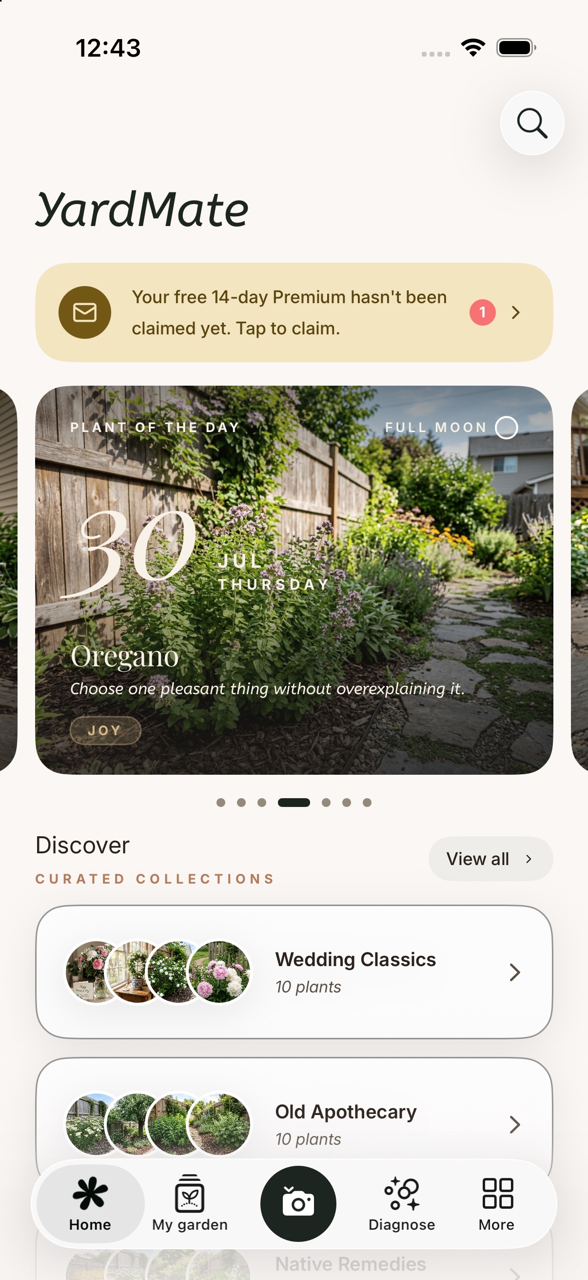 The same home screen with a drawn border around each collection card.