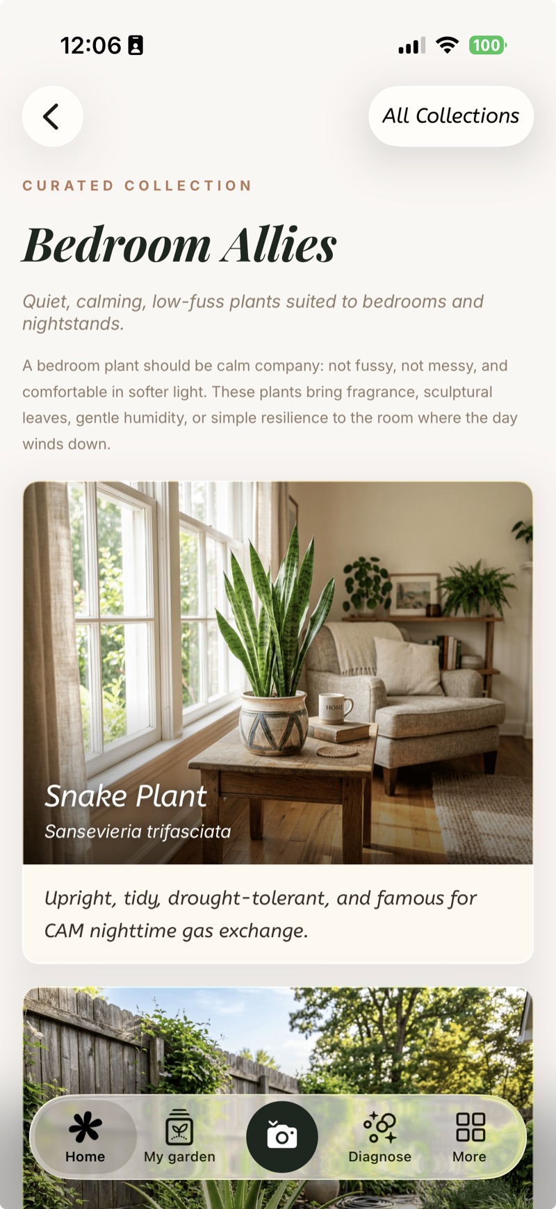 Bedroom Allies curated collection