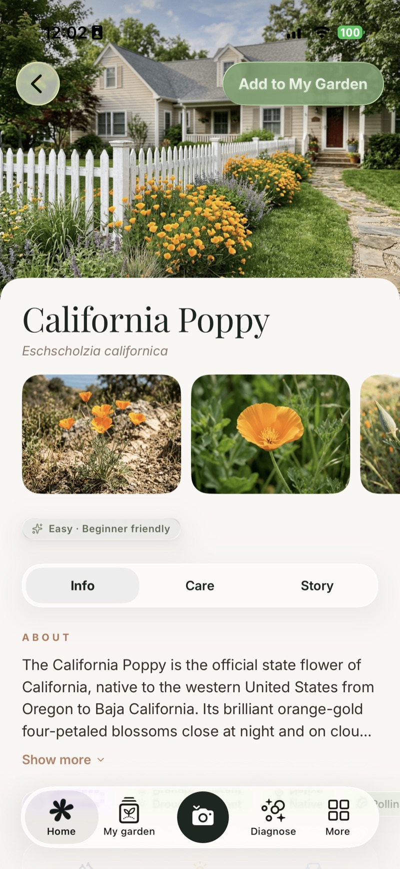 YardMate plant detail page for California Poppy