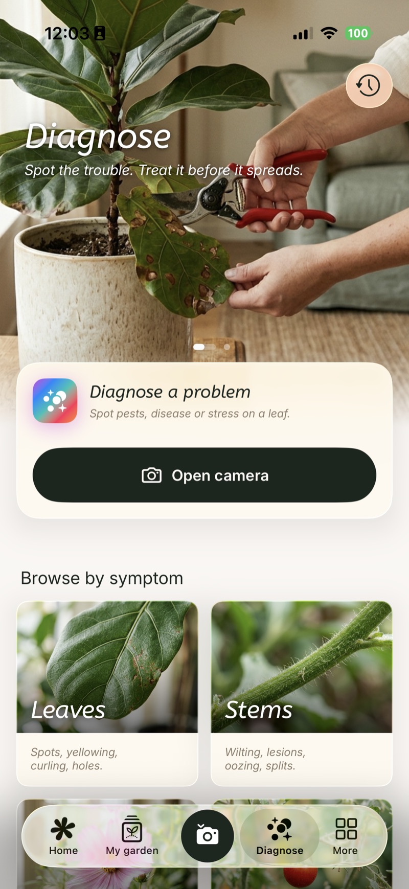 Diagnose screen — spot pests, disease or stress on a leaf