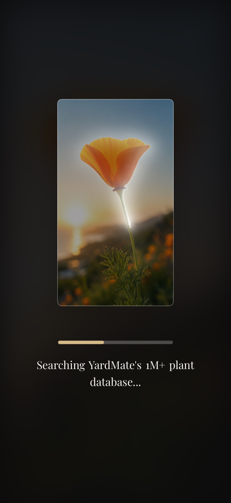 Searching YardMate's 1M+ plant database