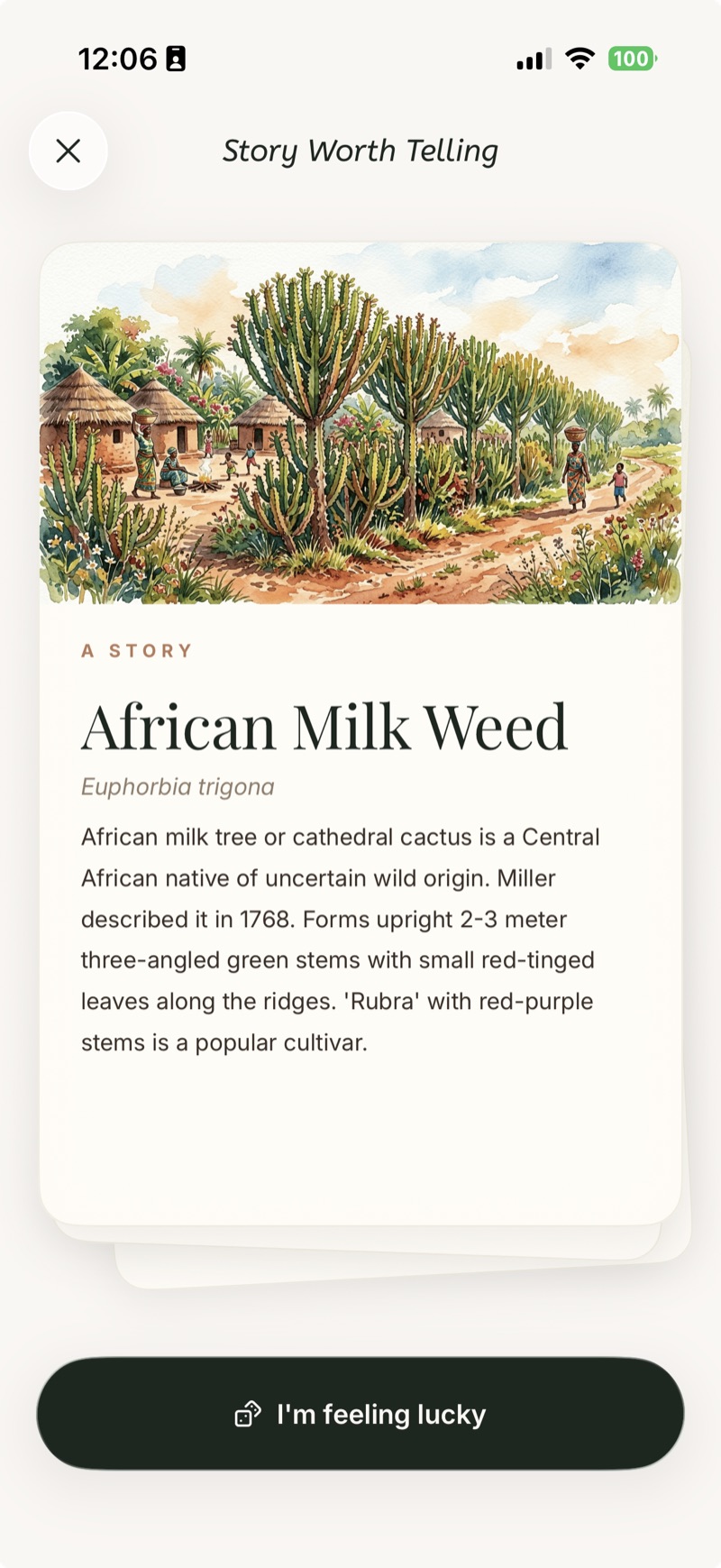 Illustrated plant story — Story Worth Telling